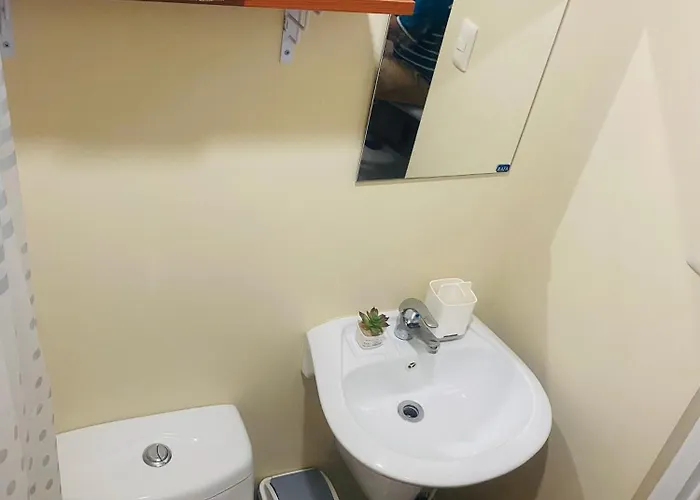 Apartment Fully Furnished Unit At Avida Riala With Fast Wifi And Netflix Cebu